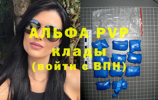 apvp Богородицк