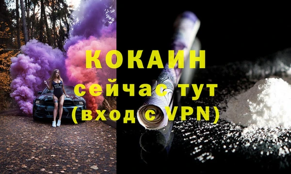 apvp Богородицк