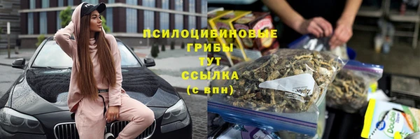 apvp Богородицк
